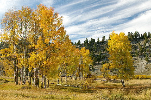 Autumn afternoon