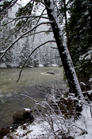 Gallatin snow