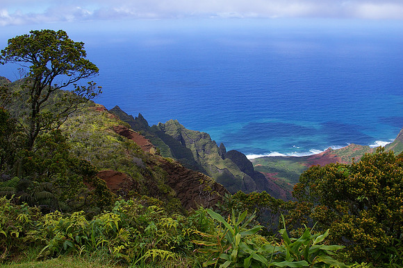 Pacific overlook