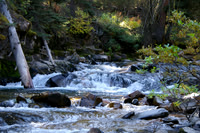 September ~ West Fork afternoon