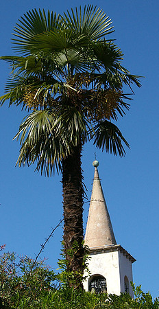 Church steeple
