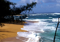 February ~ North coast