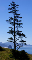 Haystack Rock