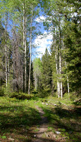 the trail