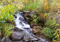 Autumn brook