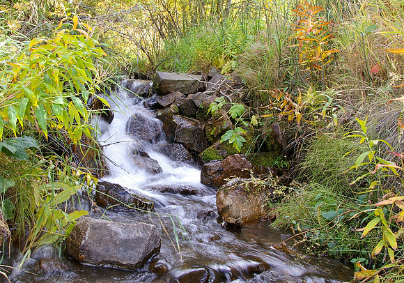 Autumn brook