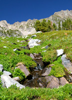 Mountain stream