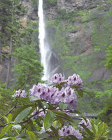 Multnomah Falls