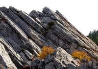 November 2011