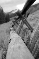 Lone Mountain fence