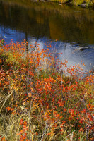 Boulder River autumn