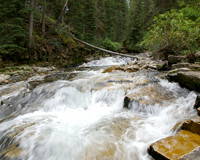 West Fork