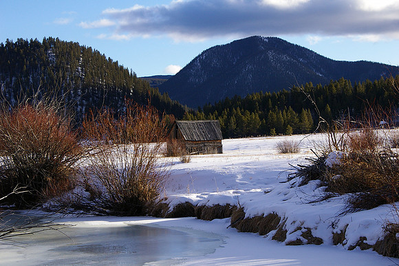 Winter barn