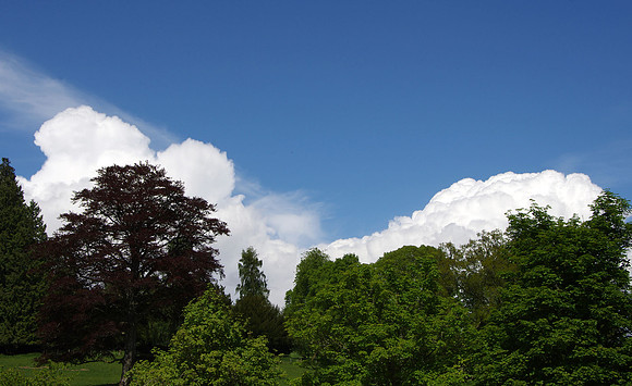 Castle clouds