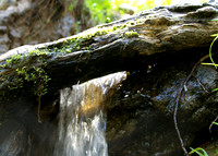 Creek cascade