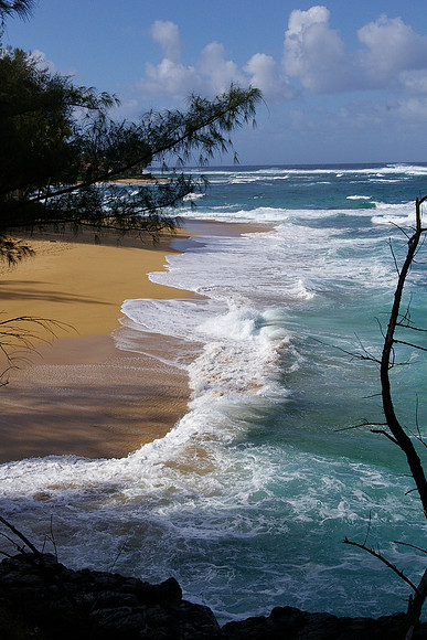 Kauai beach