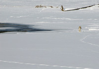 December 2011