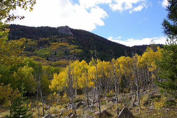 Continental Divide autumn
