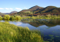 July ~ Mossy pond