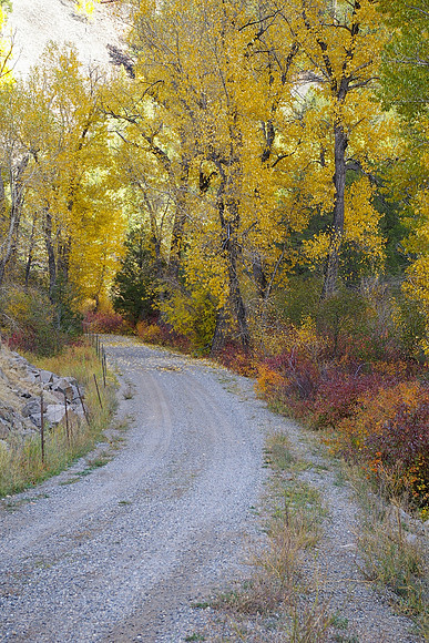 Autumn on the curve