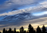 January 2011